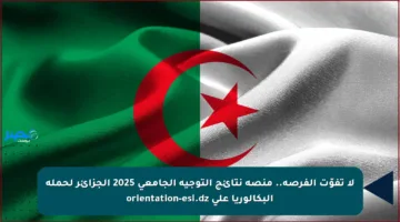 لا تفوّت الفرصة.. منصة نتائج التوجيه الجامعي 2025 الجزائر لحملة البكالوريا على orientation-esi.dz